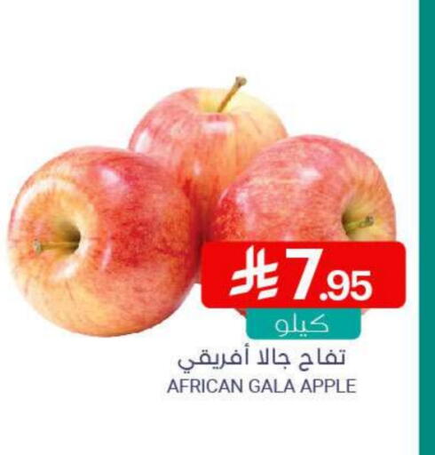 تفاح available at اسواق المنتزه in مملكة العربية السعودية, السعودية, سعودية - سيهات