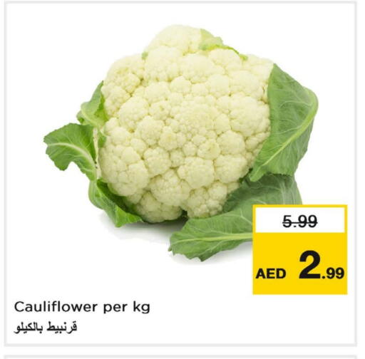 قرنبيط available at لاست تشانس in الإمارات العربية المتحدة , الامارات - ٱلْفُجَيْرَة‎
