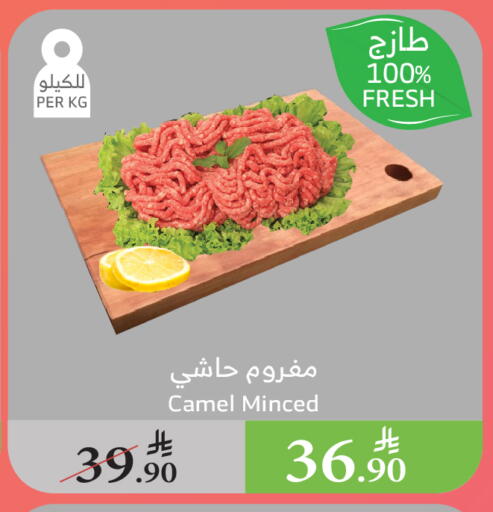Meat - Fresh & Chilled in Al Raya, Saudi Arabia Offers - Saudi Arabia Camel meat available at Al Raya in KSA, Saudi Arabia, Saudi - Al Qunfudhah