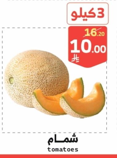Sweet melon available at Mira Mart Mall in KSA, Saudi Arabia, Saudi - Jeddah