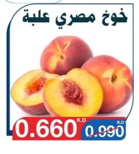 برقوق available at جمعية اليرموك التعاونية in الكويت - مدينة الكويت