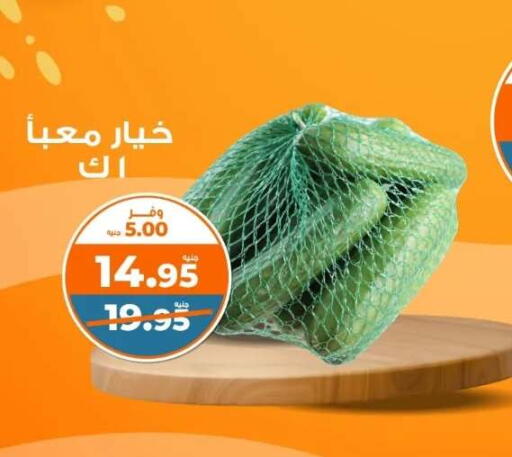 available at Kazyon  in Egypt - Cairo
