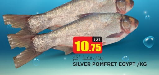 available at جراند هايبرماركت in قطر - الوكرة