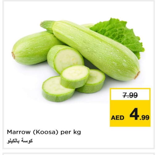 Marrow available at لاست تشانس in الإمارات العربية المتحدة , الامارات - ٱلْفُجَيْرَة‎