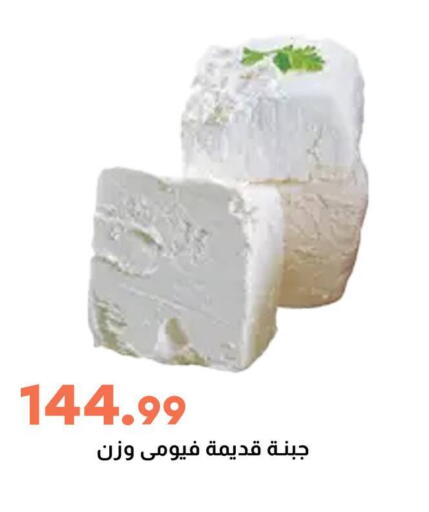 available at سوق غلاب in Egypt - القاهرة