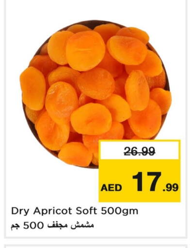 Apricot available at لاست تشانس in الإمارات العربية المتحدة , الامارات - ٱلْفُجَيْرَة‎