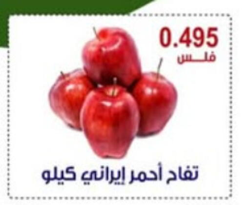 تفاح available at جمعية العقيلة التعاونية in الكويت - محافظة الأحمدي