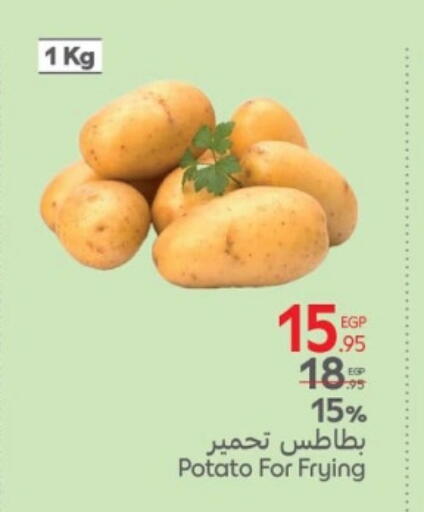Potato available at كارفور in Egypt - القاهرة