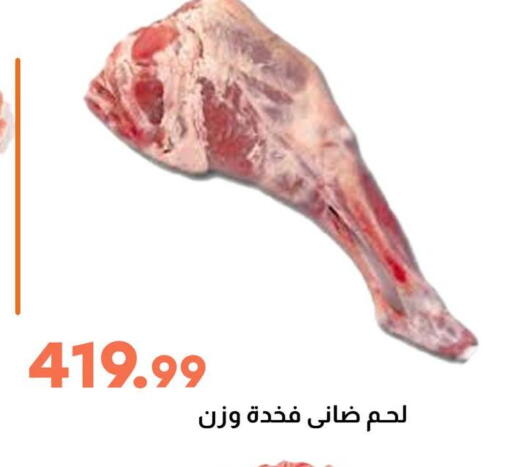 Meat - Fresh & Chilled in Ghallab Market, Egypt Offers - Egypt available at Ghallab Market in Egypt - Cairo
