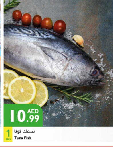 available at إسطنبول سوبرماركت in الإمارات العربية المتحدة , الامارات - أبو ظبي