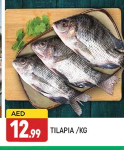 الأسماك الطازجة in المدينة, UAE Offers - الإمارات العربية المتحدة available at المدينة in الإمارات العربية المتحدة , الامارات - دبي