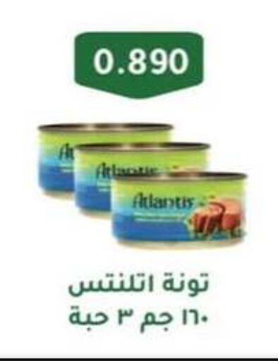 تونة - معلب available at جمعية حطين التعاونية in الكويت - مدينة الكويت