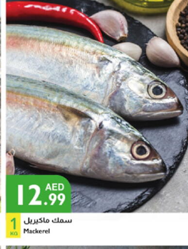 available at Istanbul Supermarket in UAE - Abu Dhabi