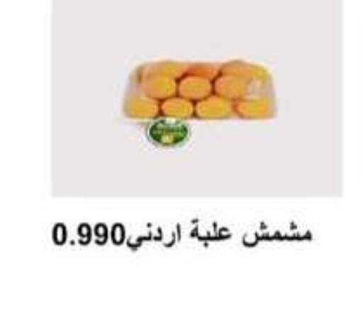 available at جمعية أبو حليفة التعاونية in الكويت - محافظة الأحمدي