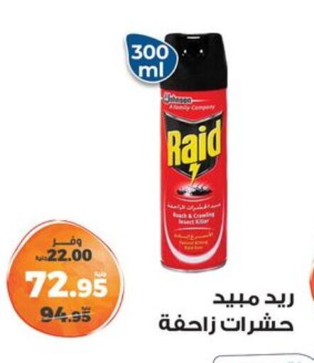 RAID available at Kazyon  in Egypt - Cairo