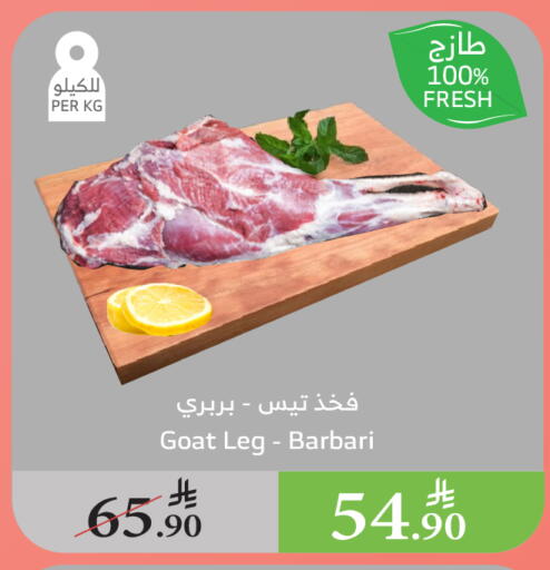 اللحوم الطازجة والمبردة in الراية, المملكة العربية السعودية Offers - المملكة العربية السعودية لحم الضأن / الغنم available at الراية in مملكة العربية السعودية, السعودية, سعودية - الباحة
