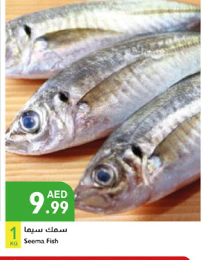 available at Istanbul Supermarket in UAE - Dubai
