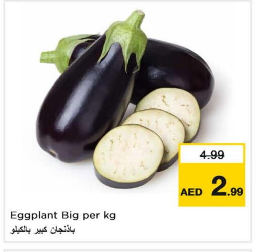 الخضروات الطازجة in نستو هايبرماركت, UAE Offers - الإمارات العربية المتحدة Eggplant available at نستو هايبرماركت in الإمارات العربية المتحدة , الامارات - ٱلْفُجَيْرَة