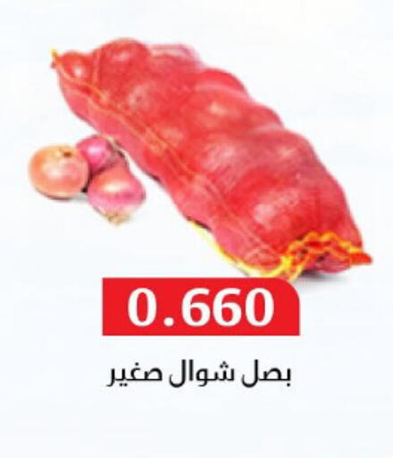 Onion available at Al Masayel co-op  in Kuwait - Jahra Governorate