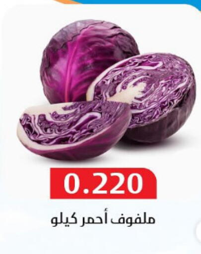 كرنب available at جمعية المسايل التعاونية in الكويت - مدينة الكويت