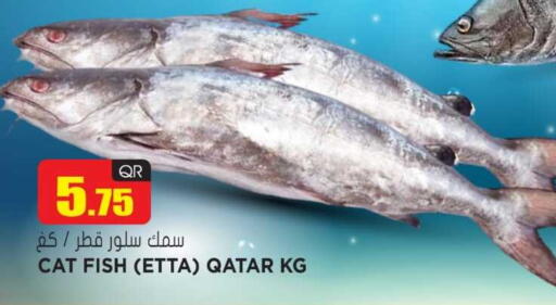 available at Grand Hypermarket in Qatar - Al Daayen