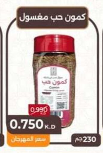 Salts, Spices & Paste in Hateen Co-Op Society, Kuwait Offers - Kuwait available at Hateen Co-Op Society in Kuwait - Kuwait City