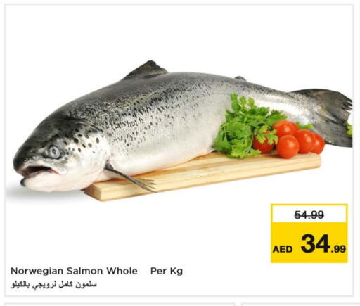 available at Nesto Hypermarket in UAE - Fujairah