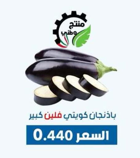 الخضروات الطازجة in جمعية ضاحية عبدالله السالم والمنصورية التعاونية, الكويت Offers - الكويت available at جمعية ضاحية عبدالله السالم والمنصورية التعاونية in الكويت - محافظة الجهراء
