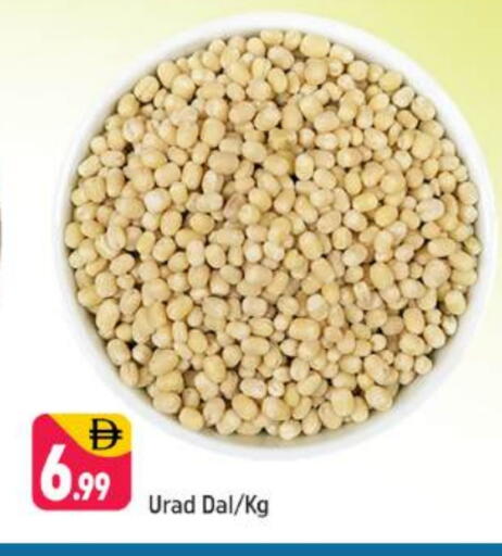 available at Shaklan  in UAE - Dubai