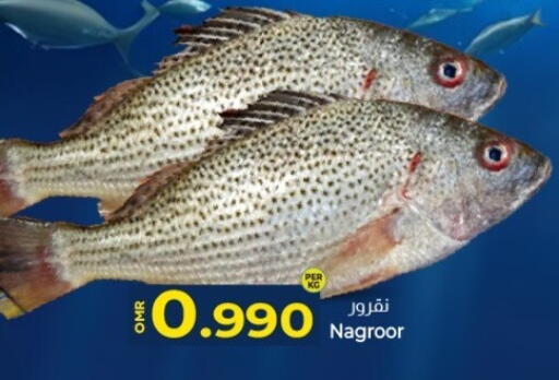available at KM Trading  in Oman - Muscat