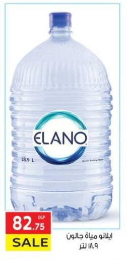 available at El Mahallawy Market  in Egypt - Cairo