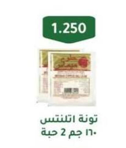 تونة - معلب available at جمعية حطين التعاونية in الكويت - مدينة الكويت