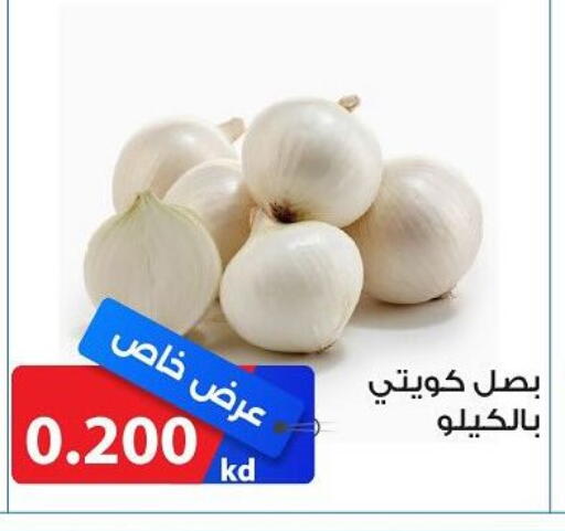 بصل available at جمعية الشامية والشويخ التعاونية in الكويت - مدينة الكويت