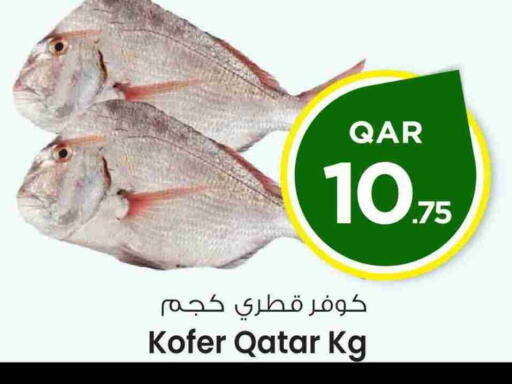 available at مارك & سيف in قطر - الشمال
