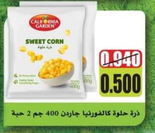 فواكه وخضار مجمدة in جمعية حطين التعاونية, الكويت Offers - الكويت available at جمعية حطين التعاونية in الكويت - مدينة الكويت