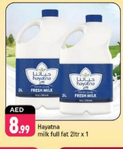 HAYATNA Fresh Milk available at Shaklan  in UAE - Dubai