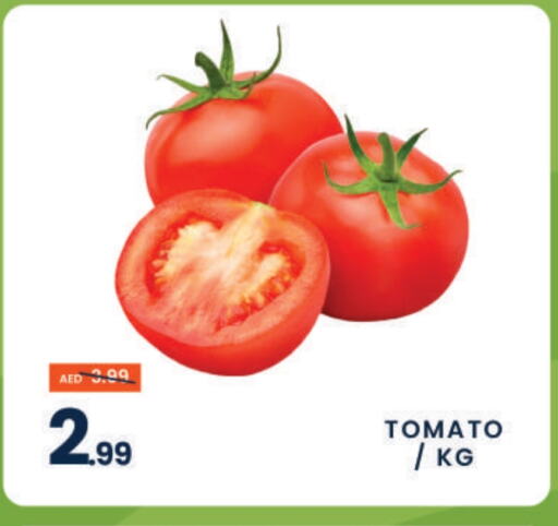 Tomato available at MADHOOR SUPERMARKET L.L.C in UAE - Dubai