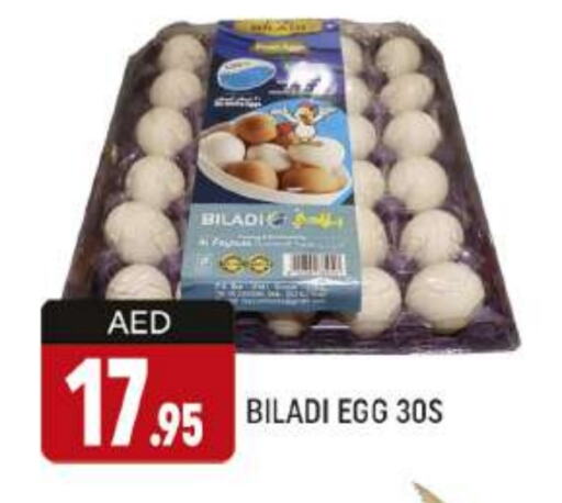 available at AL MADINA (Dubai) in UAE - Dubai