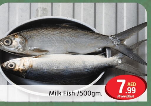 available at FOODZONE SUPERMARKET in UAE - Dubai