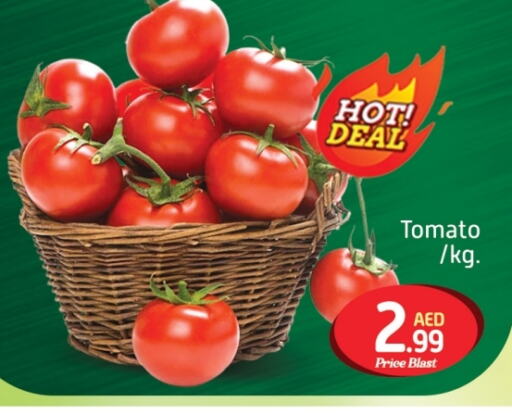 Tomato available at FOODZONE SUPERMARKET in UAE - Dubai