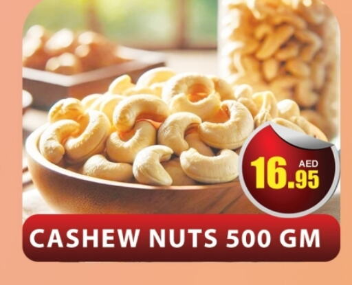 available at المدينة in الإمارات العربية المتحدة , الامارات - دبي