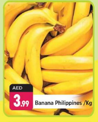 Banana from Philippines available at Shaklan  in UAE - Dubai