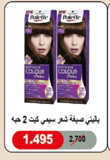 PALETTE Hair Colour available at  Adailiya Cooperative Society in Kuwait - Jahra Governorate