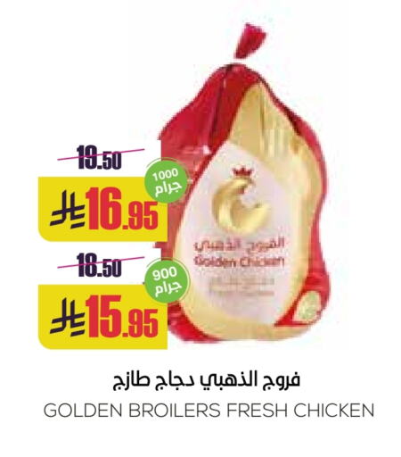 دجاج in سبت, المملكة العربية السعودية Offers - المملكة العربية السعودية دجاج كامل طازج available at سبت in مملكة العربية السعودية, السعودية, سعودية - بريدة