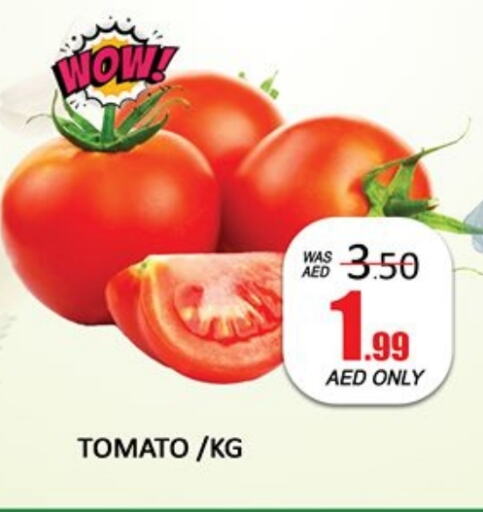 Tomato available at Al Madina  in UAE - Dubai