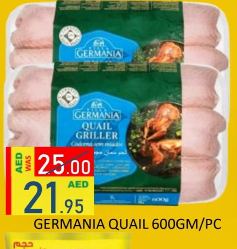 available at ROYAL GULF HYPERMARKET LLC in UAE - Abu Dhabi