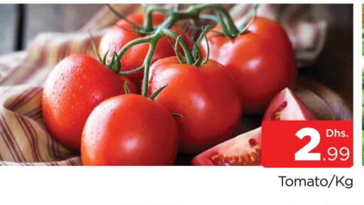 Tomato available at AL MADINA (Dubai) in UAE - Dubai