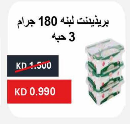Yogurt & Labneh in Adailiya Cooperative Society, Kuwait Offers - Kuwait Labneh available at Adailiya Cooperative Society in Kuwait - Ahmadi Governorate