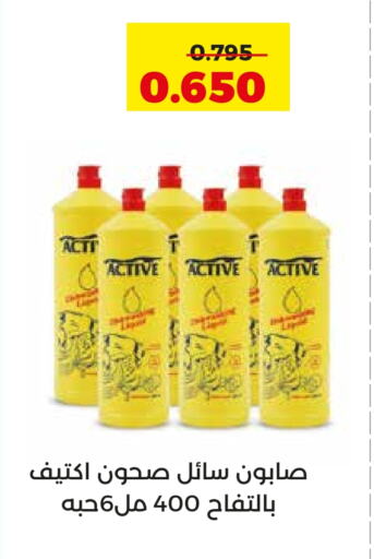 غسل الطبق in جمعية العديلة التعاونية, الكويت Offers - الكويت available at جمعية العديلة التعاونية in الكويت - مدينة الكويت