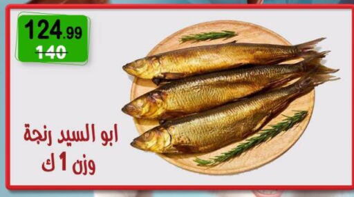 سمك مجمد in هايبر النسر, Egypt Offers - Egypt available at هايبر النسر in Egypt - القاهرة